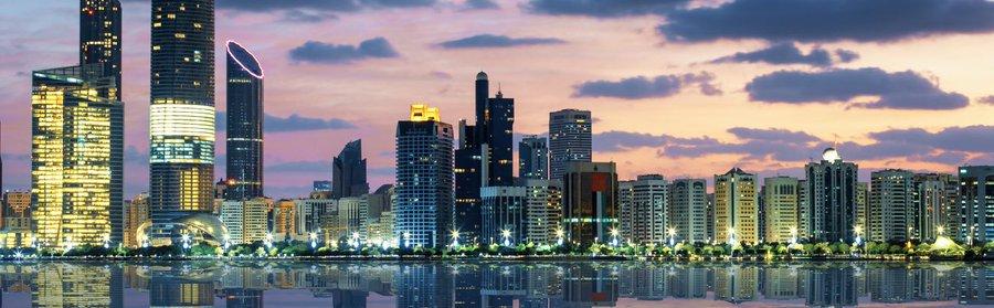 20856 عدد فروع الشركات المحلية في الإمارات