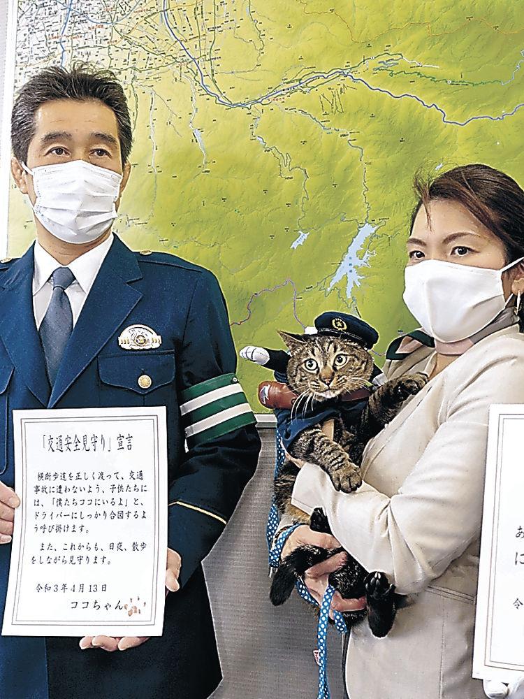 بعد «إنقاذها حياة مواطن».. تعيين قطة مديرا لقسم شرطة باليابان 